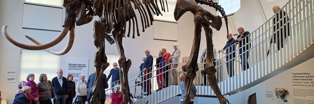 Clubmitglieder bei einer Führung im Geomuseum unter einem Mammutskelett